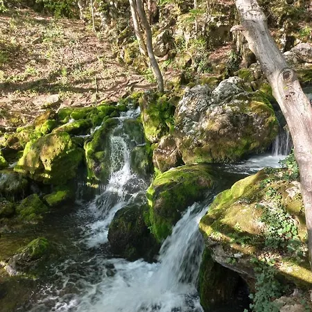 Ferienhaus Vikendica Bajka Despotovac